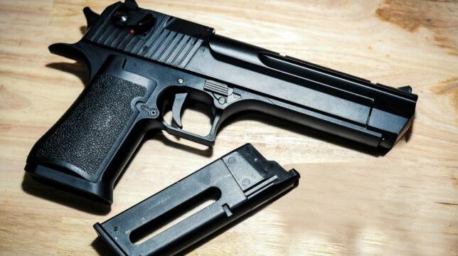Em tramitação na Câmara, Projeto de Lei pode liberar porte de arma para guardas municipais aposentados no País