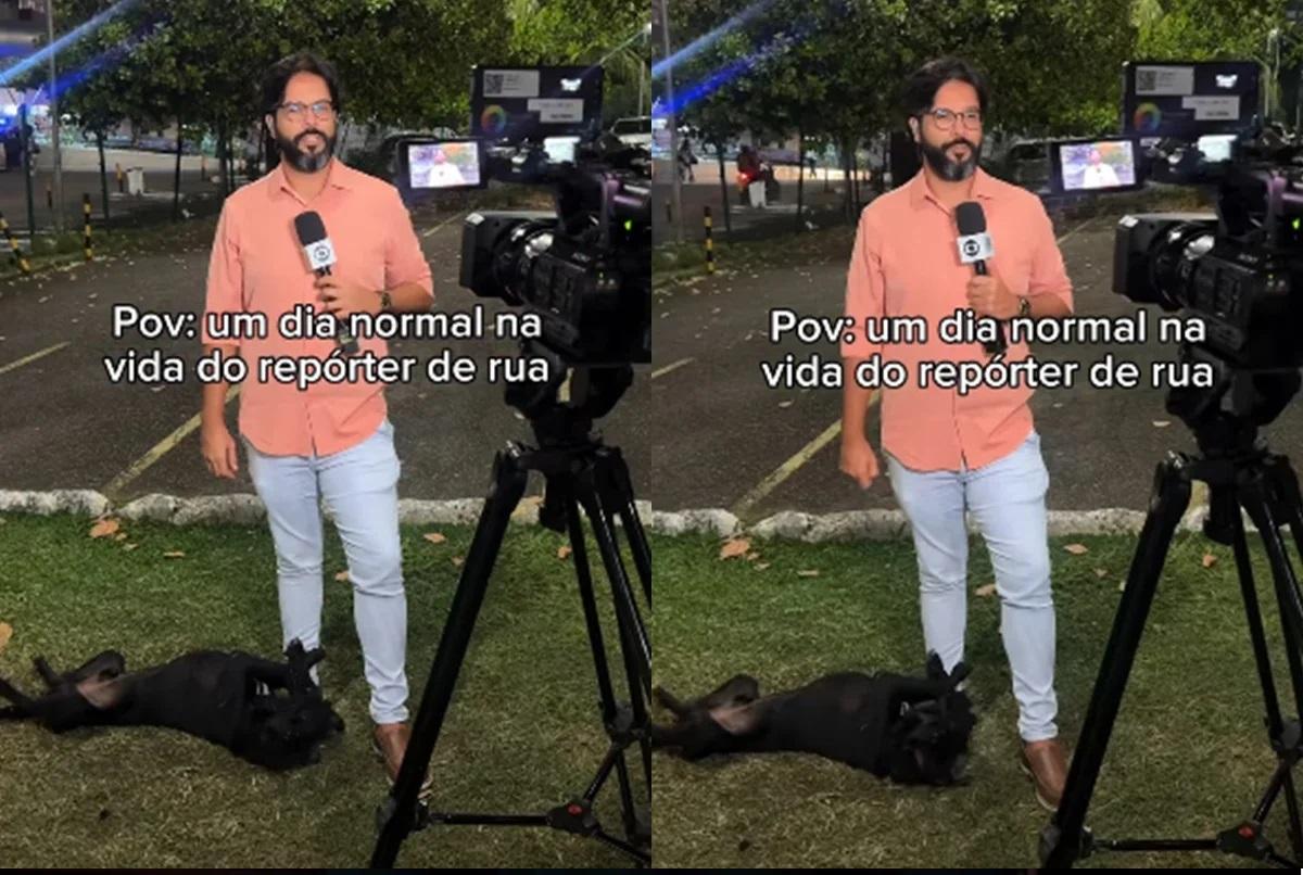 Repórter é surpreendido por cachorro durante entrada ao vivo. Veja