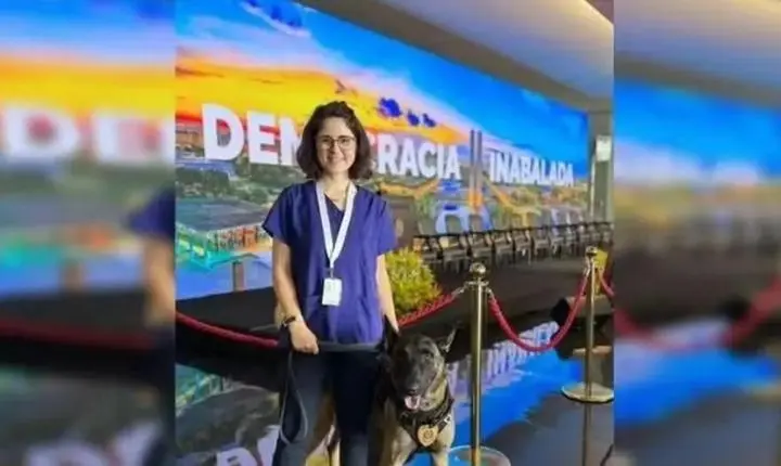 Morre veterinária atacada por cão do Senado Federal, em Brasília