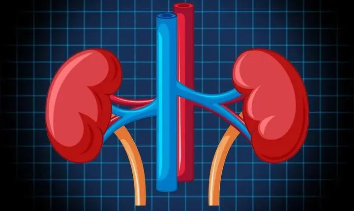 Remédios para pressão podem elevar em 33% o risco renal em diabéticos